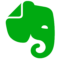 Evernote Icon